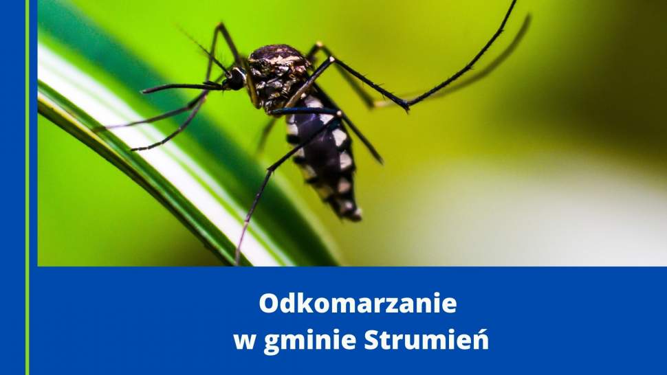 Odkomarzanie w gminie Strumień